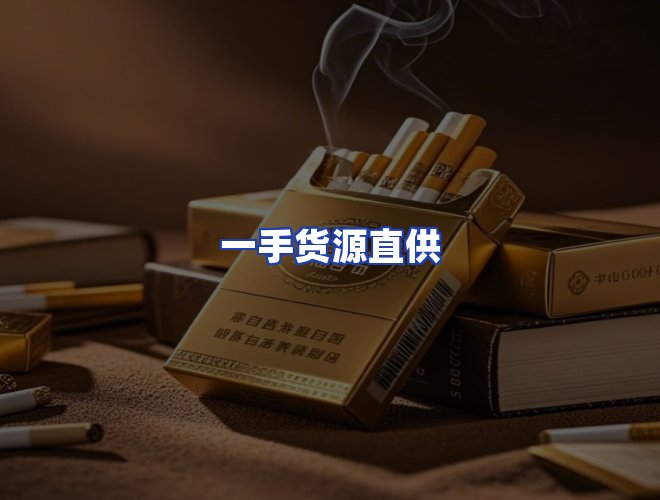专业团队